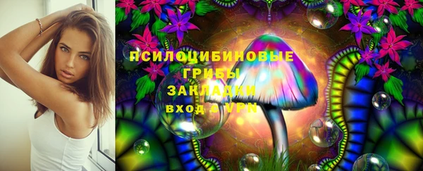 трава Алзамай
