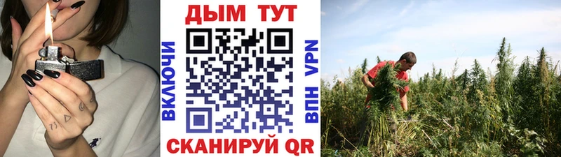 купить наркотики цена Чапаевск Канабис план